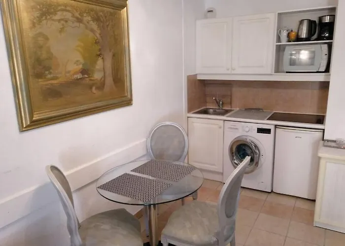 Monaco A 300m Du Casino - Grand Avec Piscine * ボーソレイユ